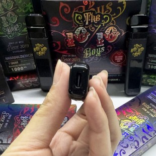 10/10 Boys 1g V3 Rechargeable Disposable Vape Pen