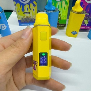 cookies 1g with LCD screen
