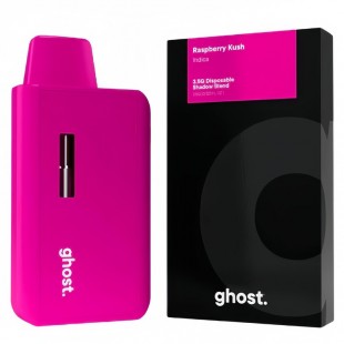 Ghost 3.5 Gram Disposable Vape Pod Empty