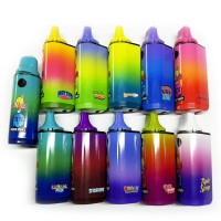 Melt x Packman 1g Empty Vape Pen