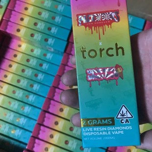 Packwoods x Torch 2G Disposable Vape Pen