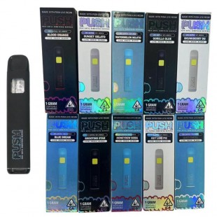 Push Disposable Vape Pen 1 Gram