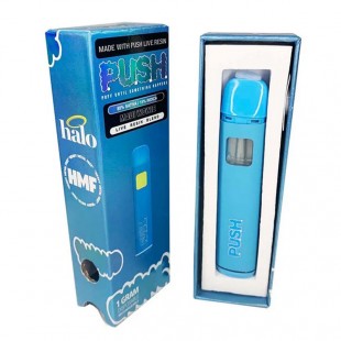 Push Disposable Vape Pen 1 Gram