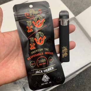 The 10/10 Disposable Vape Pen with New Flavour Bags