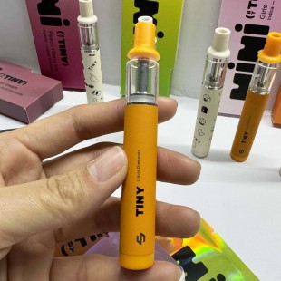 Tiny Mini 1g Empty Vape Pen