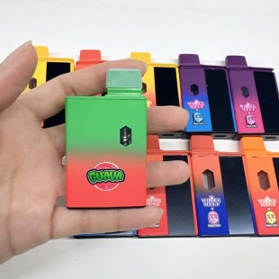 Whole Melt x Packman 1g 2025 Newest 1g Whole Melt x Packman Disposable